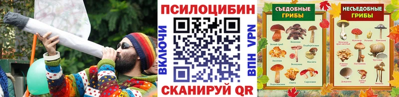 Купить закладки  Домодедово  Галлюциногенные грибы GOLDEN TEACHER 