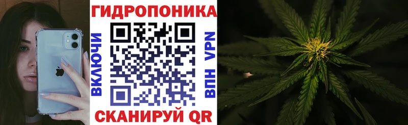 Конопля VHQ Домодедово